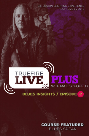 Live Plus: 布鲁斯洞察 第二集 课程封面