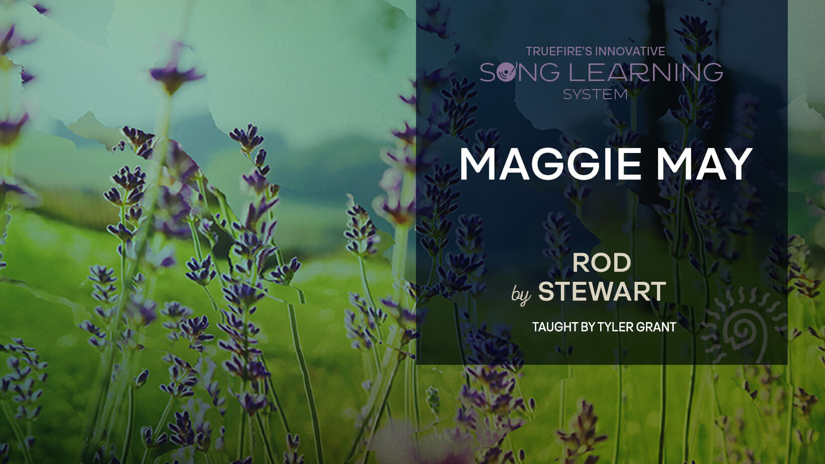 歌曲教学：Maggie May 课程封面