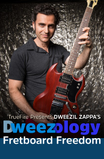 Dweezology：指板自由 课程封面